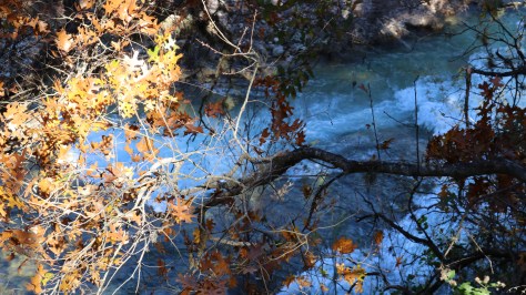 IMG-6821